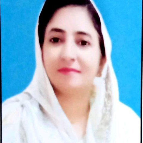 Saiqa Hamdani